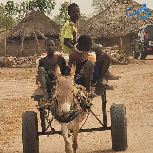 stichting amanaah dorp in afrika transport met paard en wagen